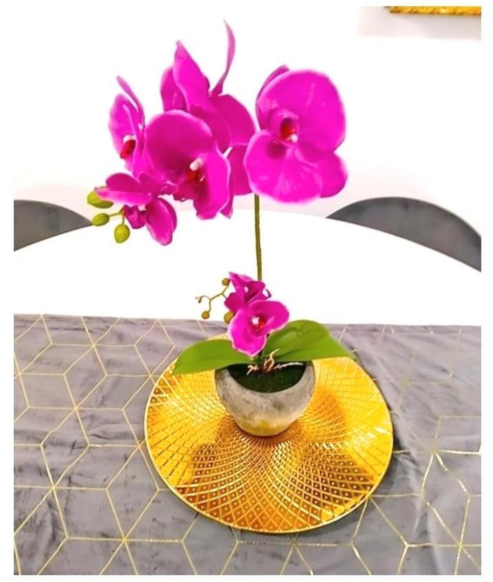 菲乌米奇诺Chic公寓 外观 照片